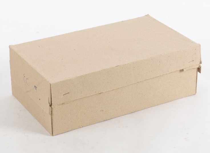 کفش مردانه سورن