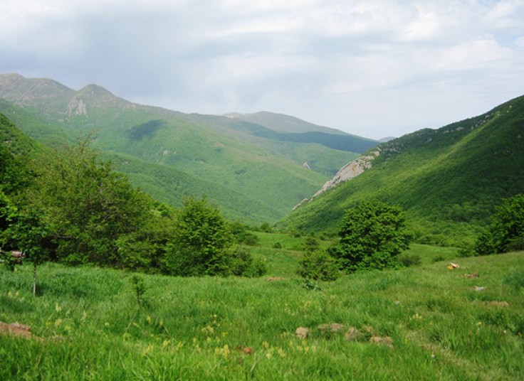 تور یک و نیم روزه آژانس بیتاگشت