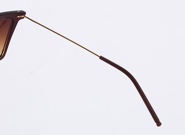 عینک آفتابی SHN