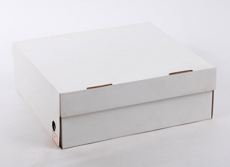 کفش کوهنوردی مردانه Lavan