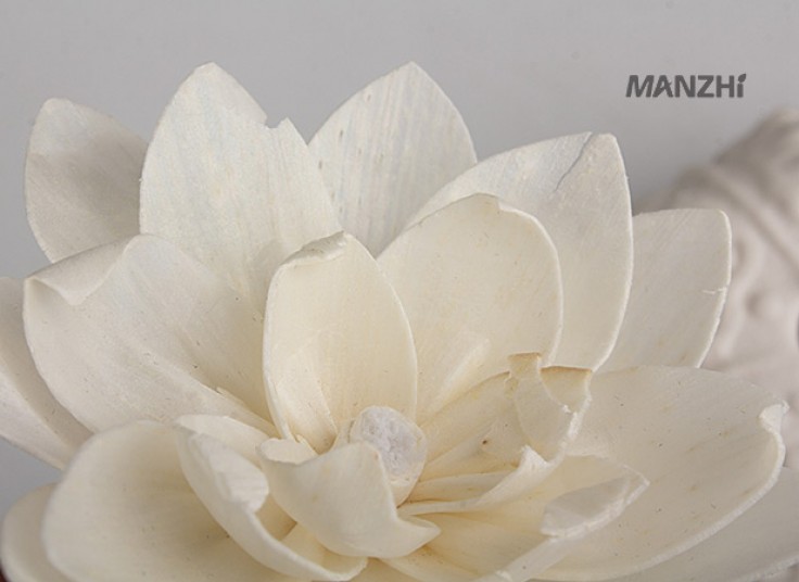 ست خوشبو کننده هوا MANZHI