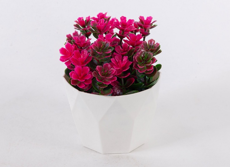 گلدان تزئینی شمشاد