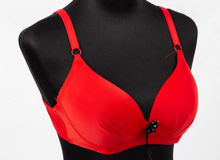 لباس زیر Rose Swan