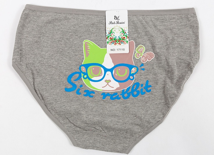 لباس زیر زنانه Pink Pasuion