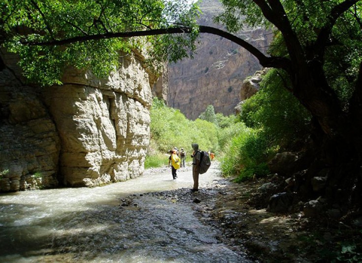 تور یک و نیم روزه آژانس بیتاگشت