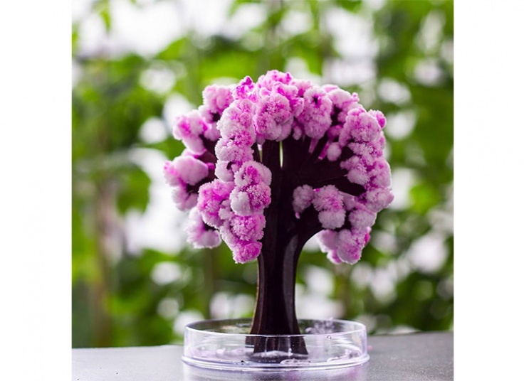 درخت جادویی SAKURA