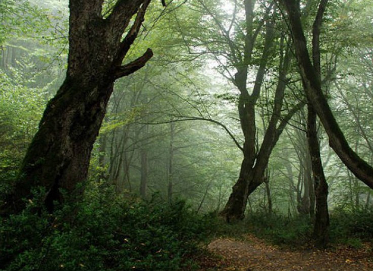 تورهای یکروزه آژانس اکسیر گشت