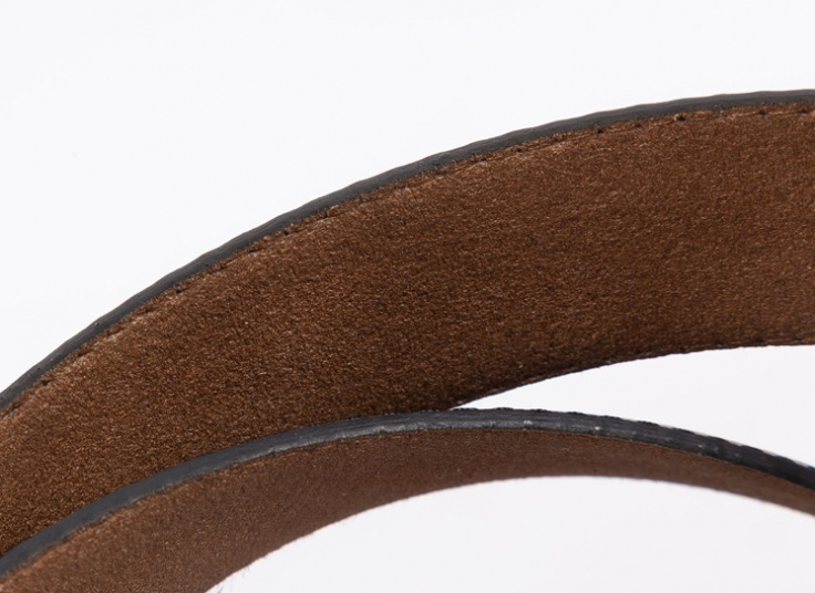 کمربند مردانه Mont Blanc