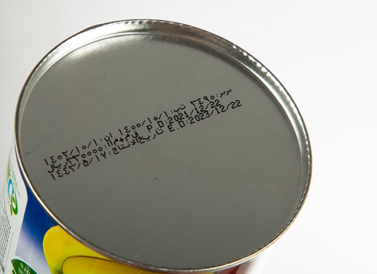 پودر دسر کاسترد هالی دی شاهسوند