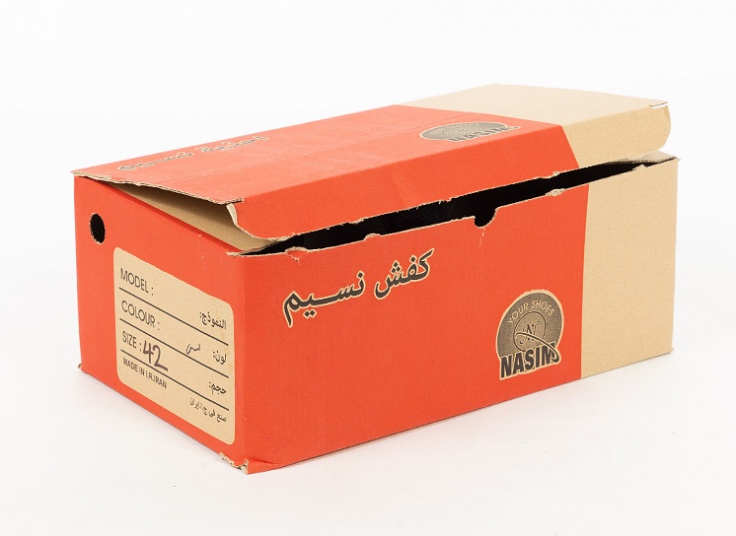 صندل مردانه Nasim