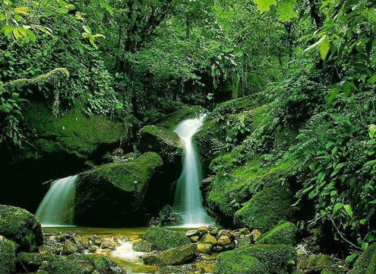 چهار تور مسافرتی یکروزه