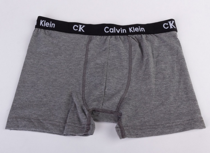 لباس زیر مردانه باکسر Calvin Klein