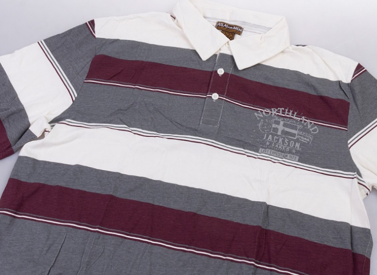 پولوشرت آستین بلند مردانه ATLAS