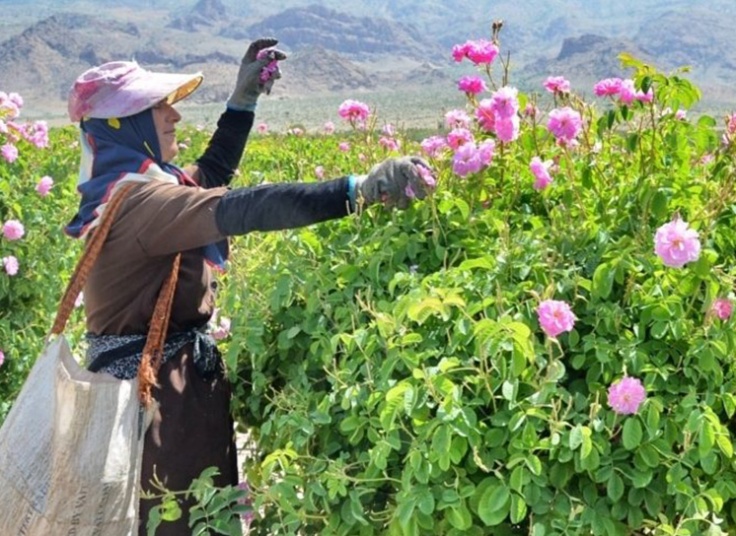 تور یک روزه کاشان آژانس شال و کلاه سفر