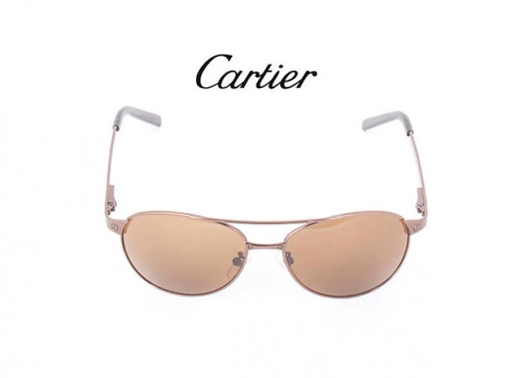 عینک Cartier مدل Santos