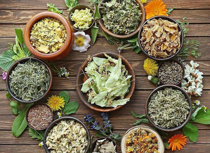 کارگاه گیاهان دارویی مناسب سلامت بدن در گیاه دانه