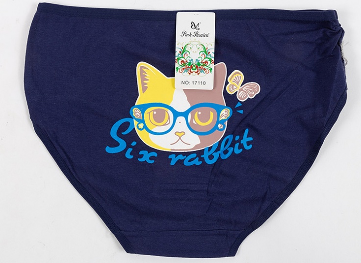 لباس زیر زنانه Pink Pasuion