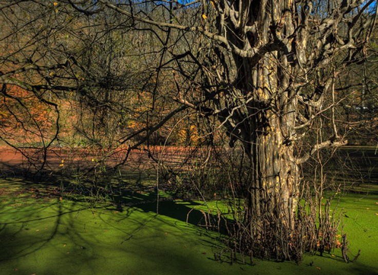 تورهای آژانس مسافرتی اکسیرگشت سفر