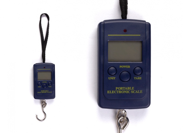 ترازوی دیجیتال Portable Electronic