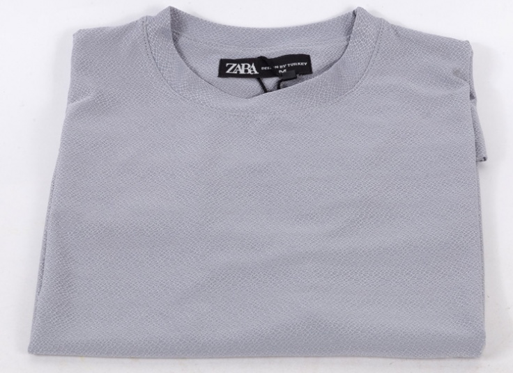 تیشرت مردانه بیسکویتی طرح ZARA