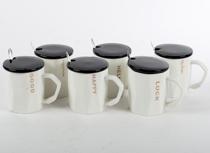 ماگ سرامیکی متنوع درب دار