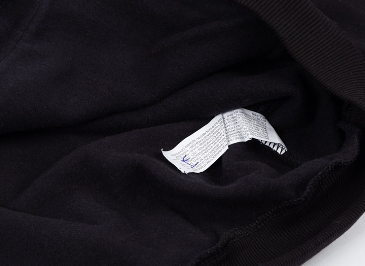 هودی مردانه The North Face