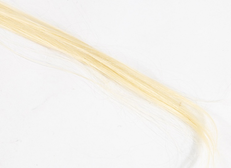 مش تکه ای کلیپسی