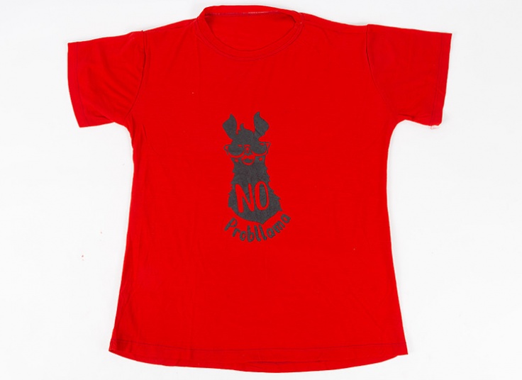 تیشرت زنانه Lama