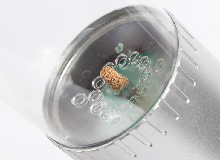 چراغ خواب آکواریومی