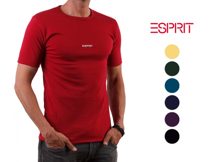 تیشرت آستین کوتاه مردانه Esprit