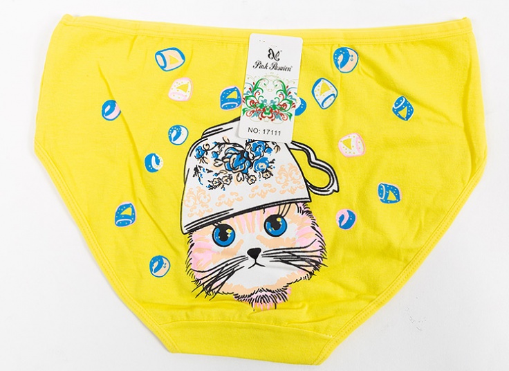 لباس زیر زنانه Pink Pasuion