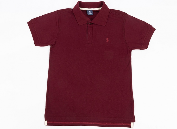 پولوشرت مردانه طرح Polo Ralph Lauren