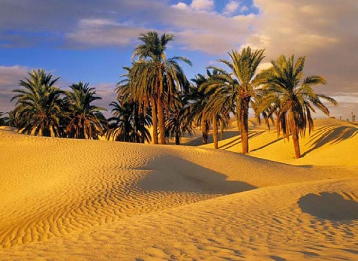 تور های نوروزی آژانس همسفران سینا