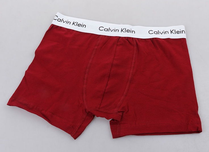 لباس زیر مردانه باکسر Calvin Klein