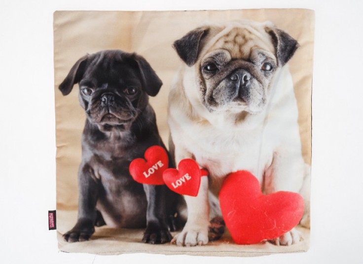 کاور کوسن POPARTCI