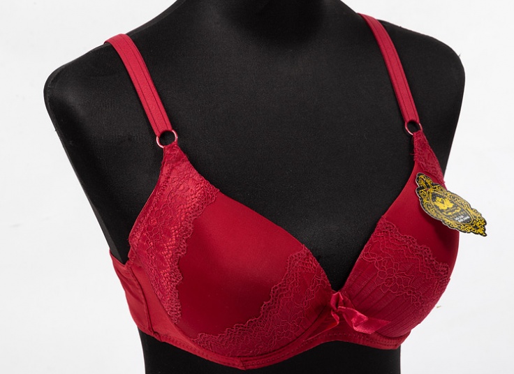 لباس زیر Rose Swan