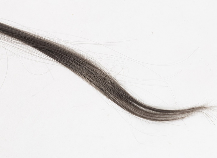 مش تکه ای کلیپسی