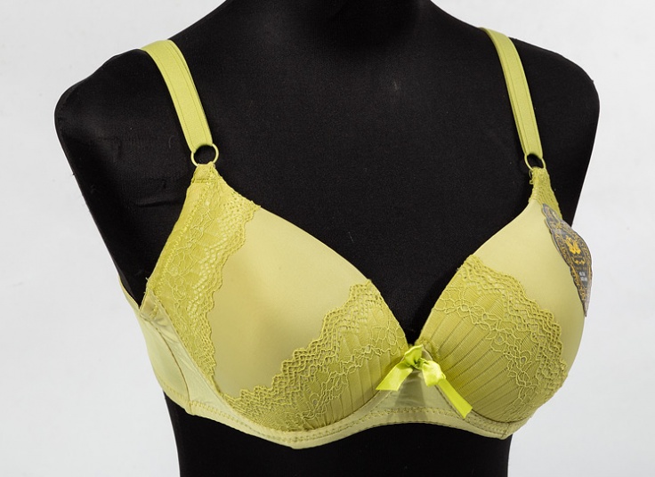 لباس زیر Rose Swan