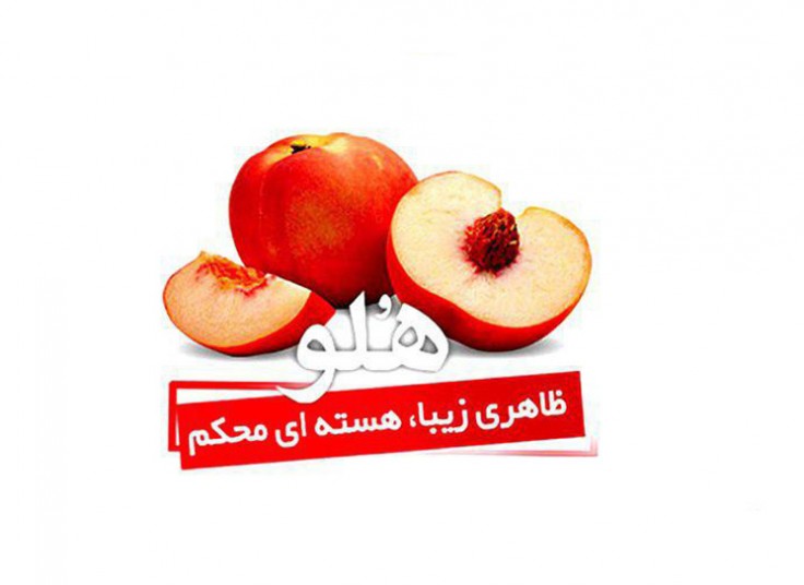 آموزش نرم افزار های مالی آموزشگاه ویژگان علم برتر