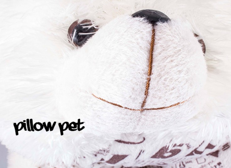 سری جدید بالشت PillowPet