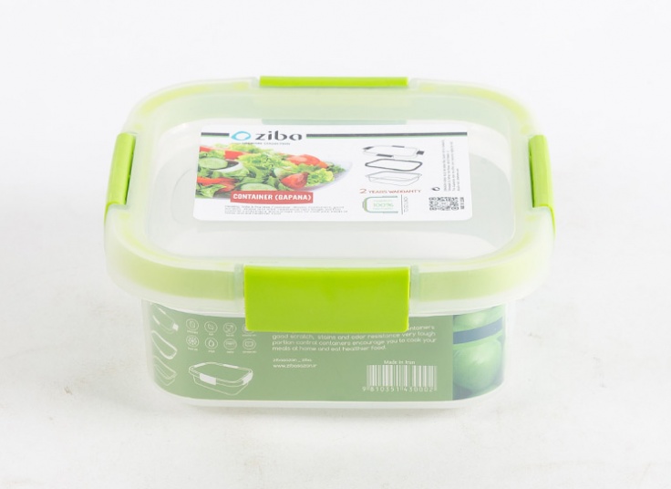 ظرف نگهدارنده Ziba
