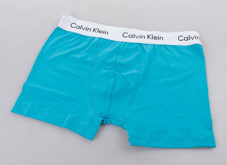 لباس زیر مردانه باکسر Calvin Klein