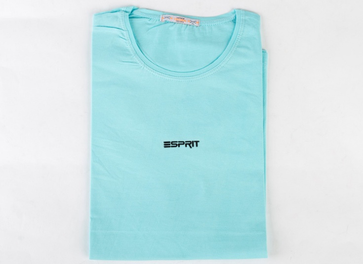 تیشرت رنگی مردانه Esprit