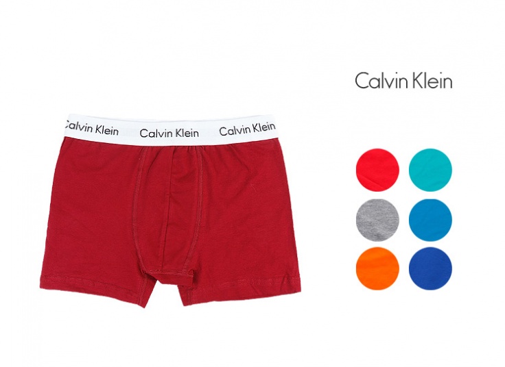 لباس زیر مردانه باکسر Calvin Klein