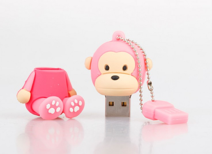 فلش مموری فانتزی