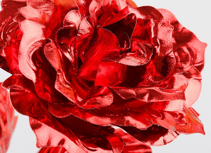 گل رز طلایی