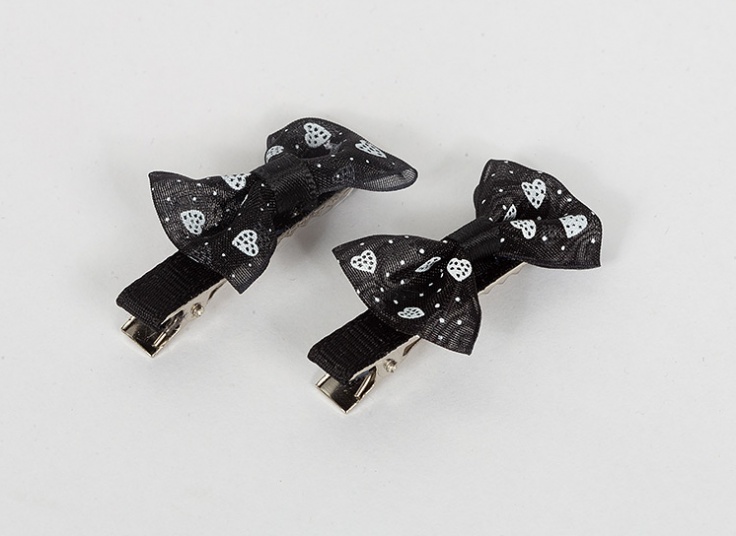 پک دو عددی گیره مو Fashion