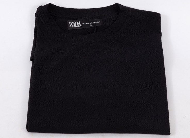 تیشرت مردانه بیسکویتی طرح ZARA