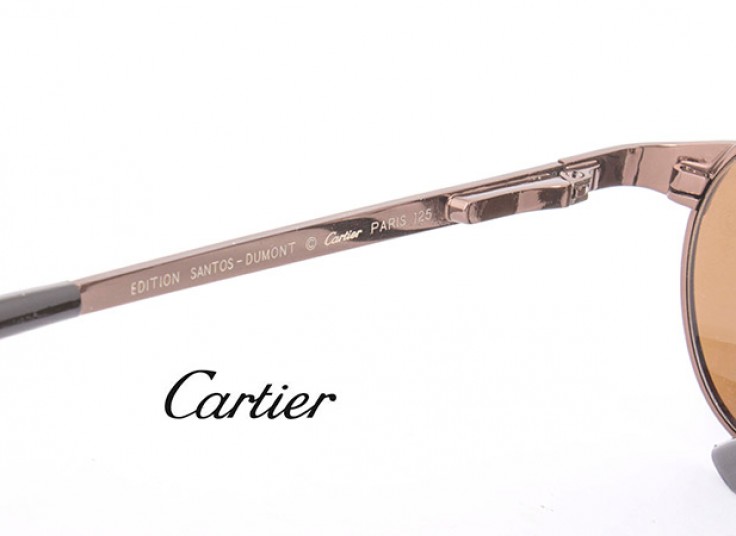عینک Cartier مدل Santos