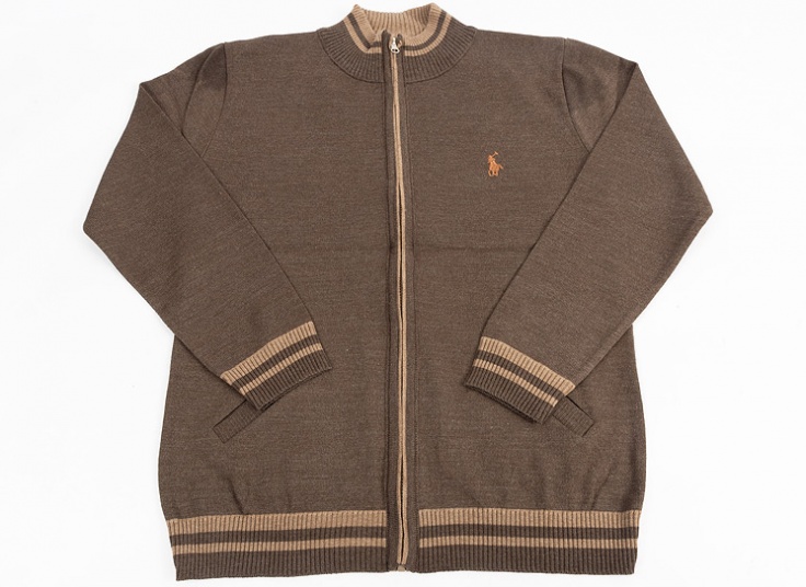 سوئیشرت بافت مردانه POLO